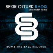 Radix (Emrik Wilzon Remix)