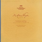 Reger: Hiller-Variations, Op.100 / Brahms: Academic Festival Overture, Op.80 / Berlioz: Overture "Benvenuto Cellini", Op.23  / R...