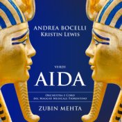 Verdi: Aida: "Se quel guerrier io fossi!..Celeste Aida"