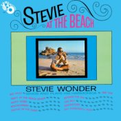 Stevie At The Beach