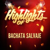 Highlights Of Bachata Salvaje