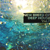 New Breed of Deep House, Vol. 7