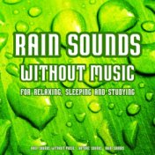 Rain Sounds Without Music for Relaxing, Sleeping and Studying