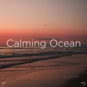 "!! Calming Ocean "!!