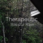!!" Therapeutic Blissful Rain "!!