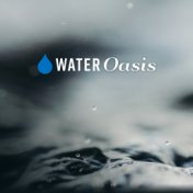 Water Oasis – Music for Sleep, Spa, Massage, Relaxation, Resting, Calming Nerves, Distress, Meditation and Contemplation, Yoga P...