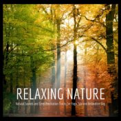 Relaxing Nature - Natural Sounds and Deep Meditation Tracks for Yoga, Spa and Relaxation Day
