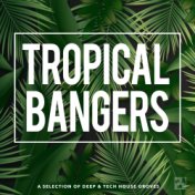 Tropical Bangers