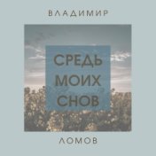 Средь моих снов