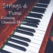 Strings & Piano Calming Classical Music
