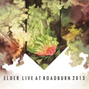 Live at Roadburn 2013