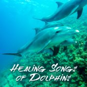 Healing Songs of Dolphins (Sleep Music, RelaxingTherapy Sounds for Reduce Stress, Insomnia and Depression, Inner Peace, Well-Bei...