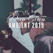 Deep Sleep Ambient 2019