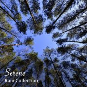#1 Hour of Serene Rain Collection