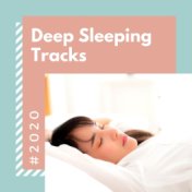 2020 Deep Sleeping Tracks: Quiet & Peaceful Music for Relaxation and Stress Relief