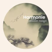 Harmonie méditation musique: Yoga pratique & pleine conscience musique, Sons de la nature, Méditation, Harmonie Intérieure, Conc...