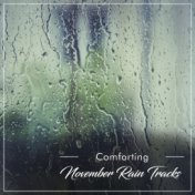 #10 Comforting November Rain Tracks