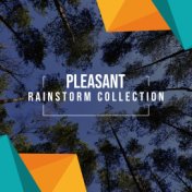 #10 Pleasant Rainstorm Collection