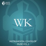 Instrumental Covers Of Muse Vol.1