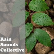 Rain Sounds Collective