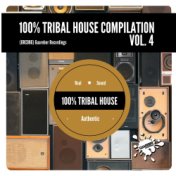 '100% Tribal House Compilation, Vol. 4