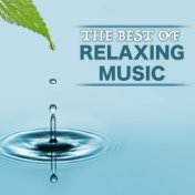 The Best of Relaxing Music - Sounds of Nature for Relaxation, Inner Peace and Moments of Quiet Reflection