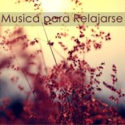 Musica para Relajarse – Nueva Era, Musica para Relajar, Musica Suave para Sanar el Alma, Canciones Relajantes para Dormir