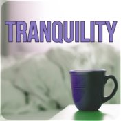 Tranquility – White Noise for Deep Sleep, Nature Sounds for Sleep Deprivation, Sleep Music, Natural Sleep Aids Sleeping Music