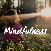 Mindfulness Based Stress Reduction Music