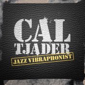 Jazz Vibraphonist