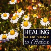 Healing Nature Sounds to Relax – Inner Silence, Calm Your Mind, Peaceful Waves, New Age Music