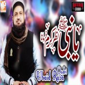 Ya Nabi Nazar E Karam Farmana - Single