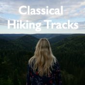 Classical Hiking Tracks