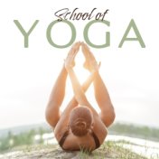 School of Yoga: Ambient Music Set for Deep Meditation, Yoga Training and Contemplation, Fresh New Age Music Collection 2020