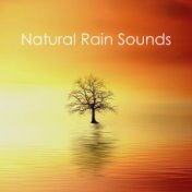 #12 Natural Rain Sounds for Massage - Ambient Sounds, Background White Noise, Relaxing & Peaceful