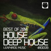 Best House/Deep House Of 2014