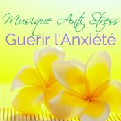 Musique Anti Stress pour Guérir l'Anxiété – Remède Naturel contre le Stress, Musicothérapie pour Sophrologie et Relaxation Profo...