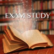 Exam Study - Classical & Piano Concentration Music for Studying, Brain Food to Increase Brain Power & Concentration With White N...