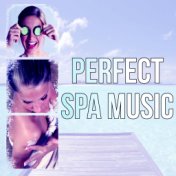 Perfect Spa Music - Welness Nature Sounds, Music Therapy for the Heart, Relaxation Music to Help You Relax