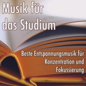Musik für das Studium: Beste Entspannungsmusik für Konzentration und Fokussierung, Hintergrund Naturgeräuschen zum Lesen
