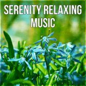 Serenity Relaxing Music - Therapeutic Massage, Deep Relaxation Music, Inner Peace, Pure Nature Sounds, Stress Relief, Hypnosis f...