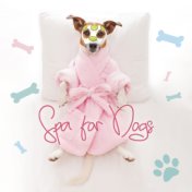 Spa for Dogs – Relaxing Music for Pets