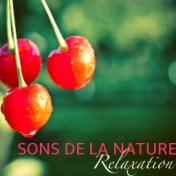 Sons de la Nature Relaxation: Musique pour Dormir, Méditation, Thérapie Massage, Spa