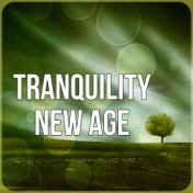 Tranquility New Age - Time to Spa Music Background for Wellness, Massage Therapy, Mindfulness Meditation, Ocean Waves, Music for...