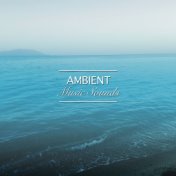 #20 Ambient Music Sounds for Calming Yoga Workout