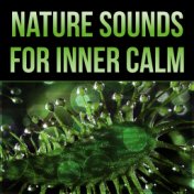 Nature Sounds for Inner Calm - Sounds of Nature, White Noise for Mindfulness Meditation, Massage, Spa Music, Yoga