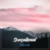 #18 Sensational Sounds for Yoga