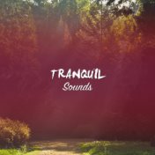 #11 Tranquil Sounds for Yoga, Zen and Meditation