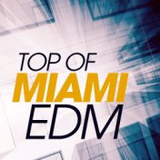 Top of Miami Edm