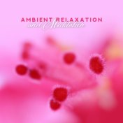 Ambient Relaxation and Meditation: Sounds of Nature for Relax, Sleep, Spa, Yoga, Meditation Zone of Peace, Inner Harmony, Reduce...